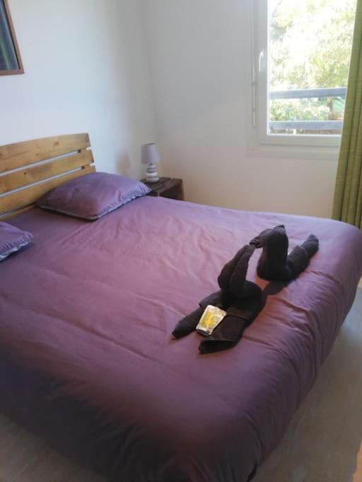 Le Nid Appartement Aureilhan  Buitenkant foto