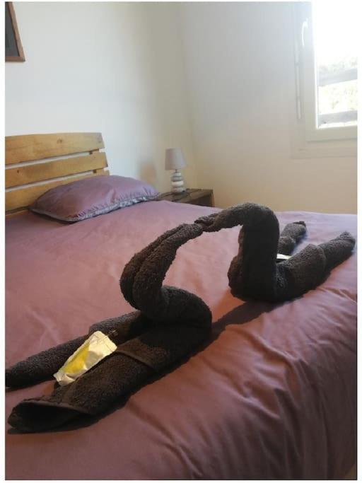 Le Nid Appartement Aureilhan  Buitenkant foto
